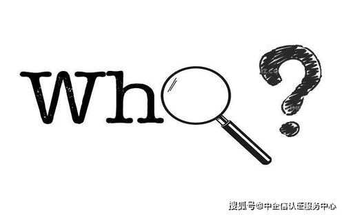 网络文化经营许可证 互联网文化企业的合规基石